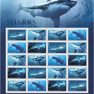 Sharks Ecotourism Conservation Preservation Ecology Nature Forever First Class Postage Stamps