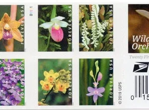 Wild Orchids Forever First Class Postage Stamps