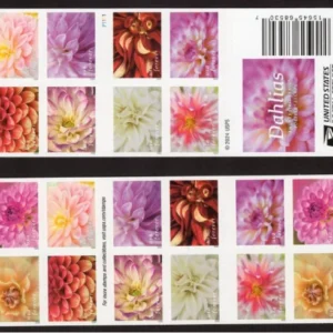 Dahlias Forever First Class Postage Stamps