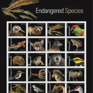 Endangered Species Forever First Class Postage Stamps