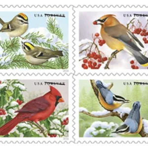 Featuring Birds 2016 Forever First Class Postage Stamps