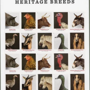 New Heritage Breeds Forever First Class Postage Stamps