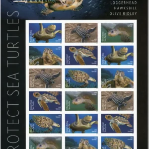 Protect Sea Turtles Forever First Class Postage Stamps