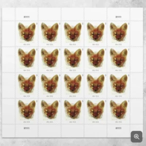Red Fox Forever First Class Postage Stamps