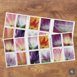 Tulip Blossoms Forever First Class Postage Stamps