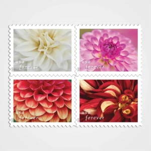 Dahlias Stamps - Forever First Class Postage Stamps