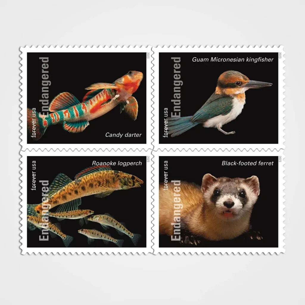 Endangered Species Stamps - Forever First Class Postage Stamps