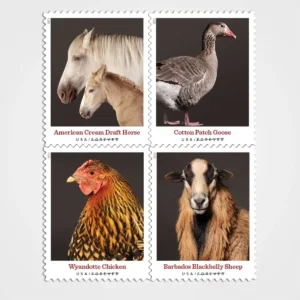 Heritage Breeds Stamps - Forever First Class Postage Stamps