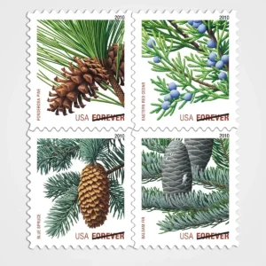 Holiday Evergreens Stamps - Forever First Class Postage Stamps