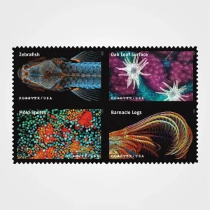 Life Magnified Stamps - Forever First Class Postage Stamps