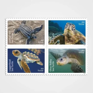 Protect Sea Turtles Stamps - Forever First Class Postage Stamps