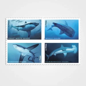 Sharks Stamps - Forever First Class Postage Stamps