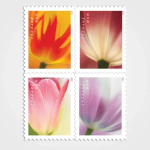 Tulip Blossoms Stamps - Forever First Class Postage Stamps