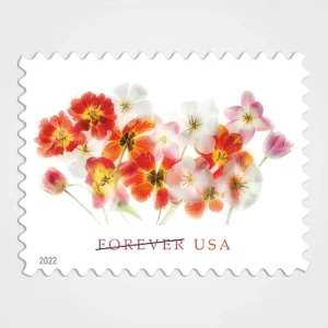 Tulips Stamps - Forever First Class Postage Stamps