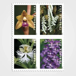 Wild Orchids Stamps - Forever First Class Postage Stamps