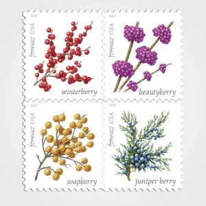 Winter Berries Stamps - Forever First Class Postage Stamps