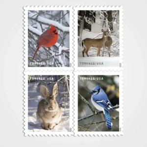 Winter Scenes Stamps - Forever First Class Postage Stamps
